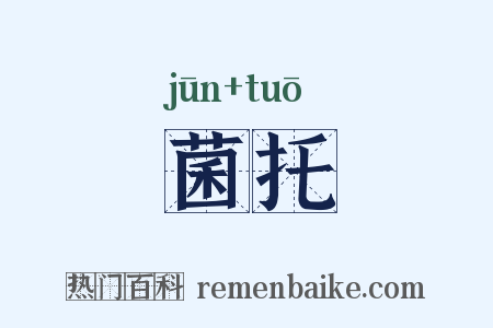 菌托是什么意思的图片